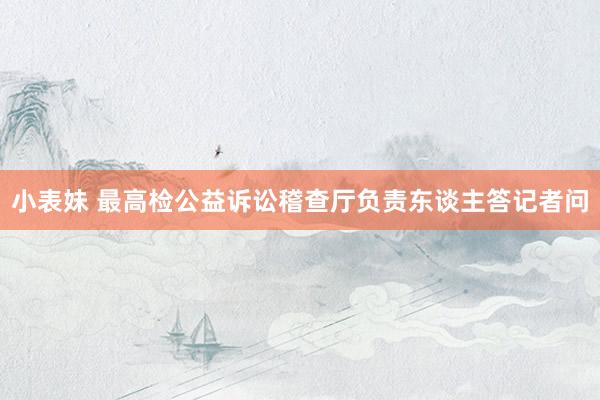 小表妹 最高检公益诉讼稽查厅负责东谈主答记者问