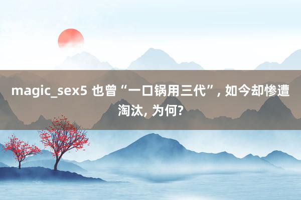 magic_sex5 也曾“一口锅用三代”， 如今却惨遭淘汰， 为何?