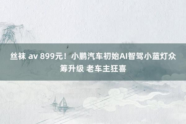 丝袜 av 899元！小鹏汽车初始AI智驾小蓝灯众筹升级 老车主狂喜