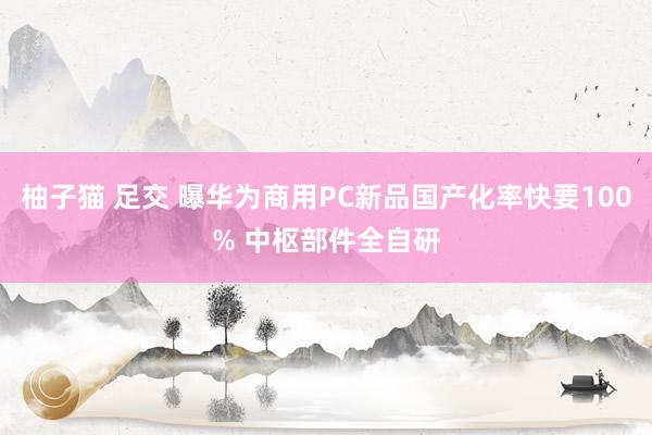 柚子猫 足交 曝华为商用PC新品国产化率快要100% 中枢部件全自研