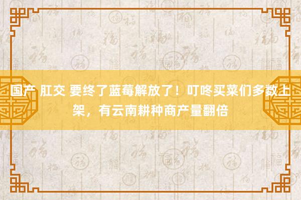 国产 肛交 要终了蓝莓解放了！叮咚买菜们多数上架，有云南耕种商产量翻倍