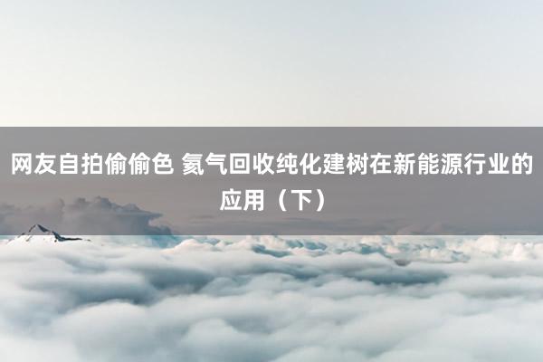 网友自拍偷偷色 氦气回收纯化建树在新能源行业的应用（下）