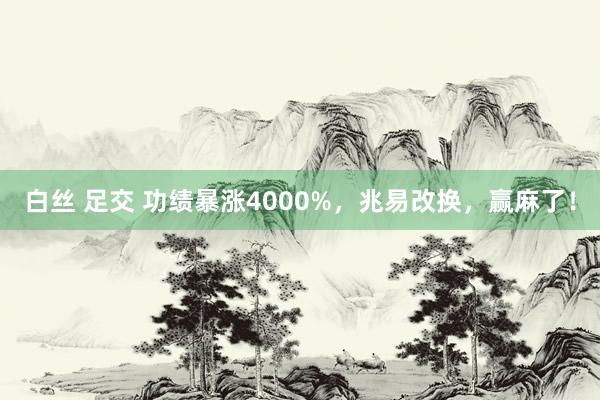 白丝 足交 功绩暴涨4000%，兆易改换，赢麻了！