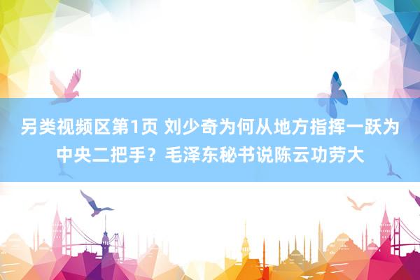 另类视频区第1页 刘少奇为何从地方指挥一跃为中央二把手？毛泽东秘书说陈云功劳大