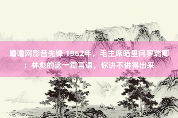 噜噜网影音先锋 1962年，毛主席暗里问罗瑞卿：林彪的这一篇言语，你讲不讲得出来
