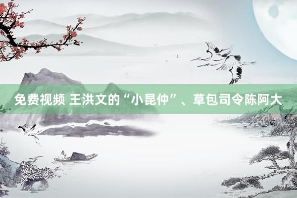 免费视频 王洪文的“小昆仲”、草包司令陈阿大