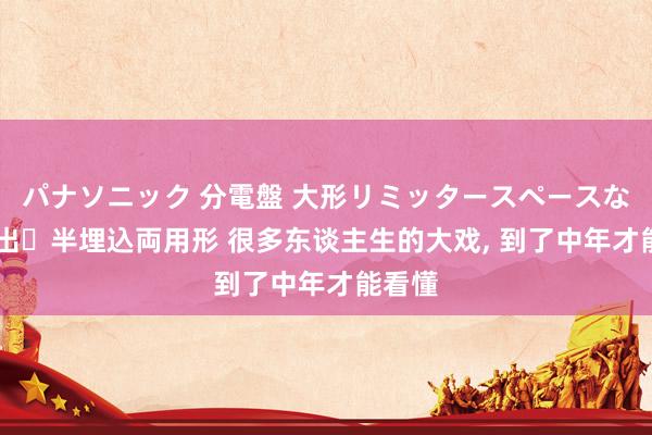 パナソニック 分電盤 大形リミッタースペースなし 露出・半埋込両用形 很多东谈主生的大戏， 到了中年才能看懂