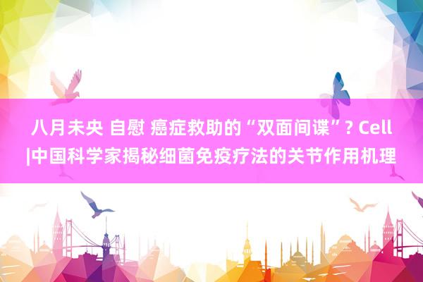 八月未央 自慰 癌症救助的“双面间谍”? Cell|中国科学家揭秘细菌免疫疗法的关节作用机理