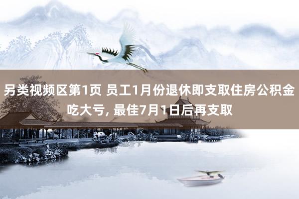另类视频区第1页 员工1月份退休即支取住房公积金吃大亏， 最佳7月1日后再支取
