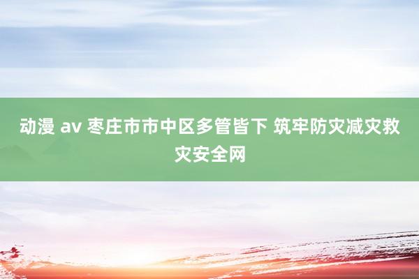 动漫 av 枣庄市市中区多管皆下 筑牢防灾减灾救灾安全网