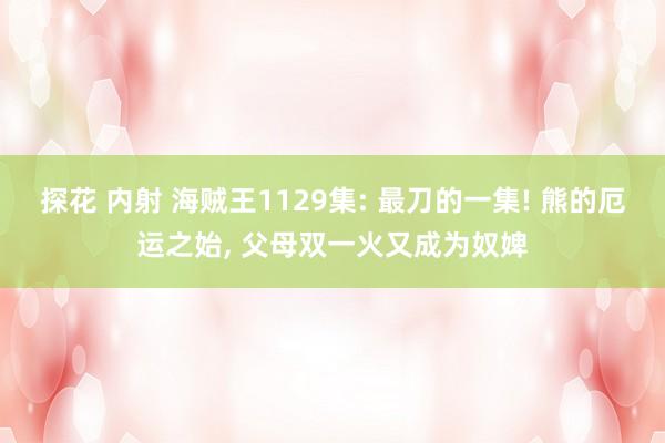 探花 内射 海贼王1129集: 最刀的一集! 熊的厄运之始， 父母双一火又成为奴婢