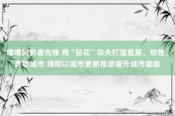 噜噜网影音先锋 用“拈花”功夫打造宜居、韧性、灵敏城市 绵阳以城市更新按捺擢升城市能级