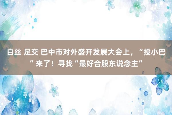 白丝 足交 巴中市对外盛开发展大会上，“投小巴”来了！寻找“最好合股东说念主”