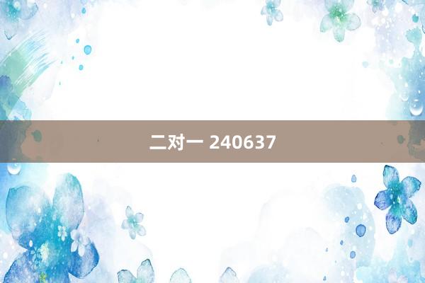 二对一 240637