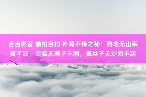 吉吉影音 偷拍自拍 补肾不传之秘：熟地无山茱萸不滋，芡实无莲子不固，菟丝子无沙苑不起