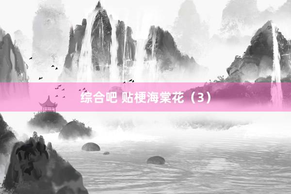 综合吧 贴梗海棠花（3）